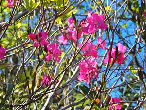 DSCN0369