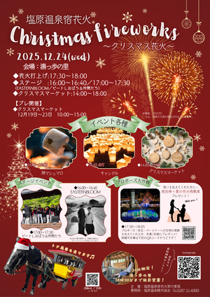 クリスマス花火 (002)