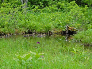 DSCN0190