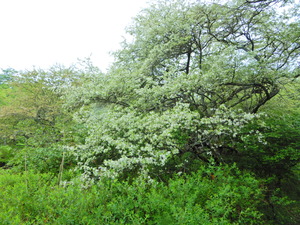 DSCN9565