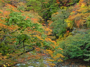 DSCN0027