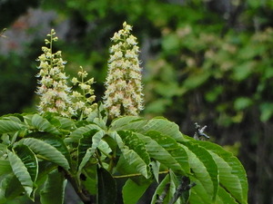 DSCN0057