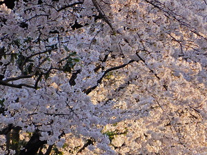 DSCN2825