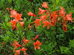 DSCN9479