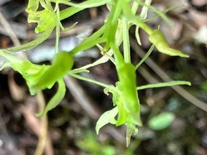 IMG_0637