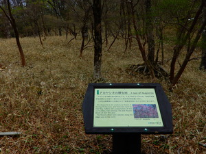 DSCN0553