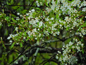 DSCN9494
