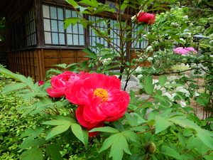 DSCN9283