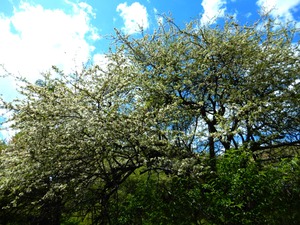 DSCN7635