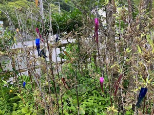 IMG_0161