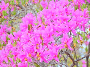 DSCN0111