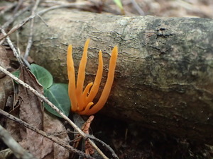 P8220553