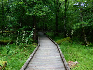 DSCN0630