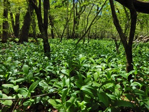 DSCN0341