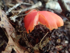 P9231050