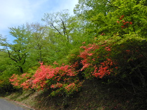 DSCN0185