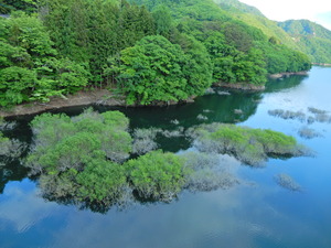 DSCN9660