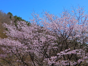 DSCN9733