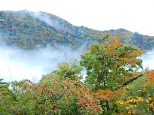 DSCN0029