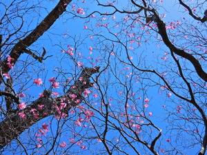 DSCN0481