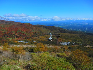 DSCN9740