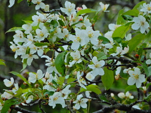 DSCN9540