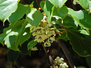 DSCN9838