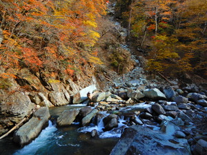 DSCN0866