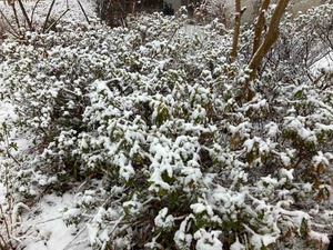 IMG_1476