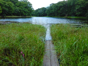 DSCN0038