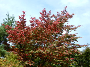 DSCN9408