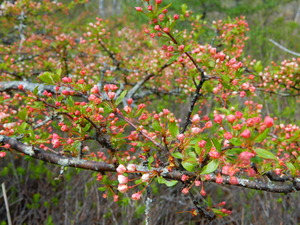 DSCN0675
