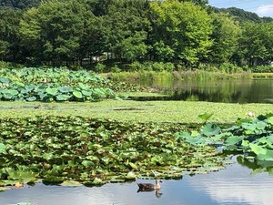IMG_8579