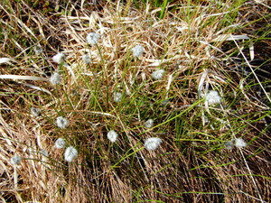 DSCN0669