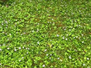 IMG_9731