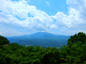 DSCN2398