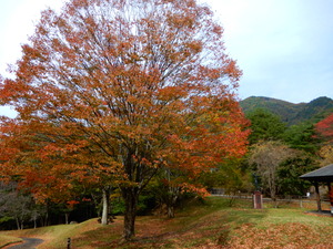 DSCN0031