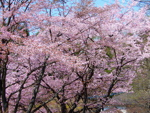 DSCN9482