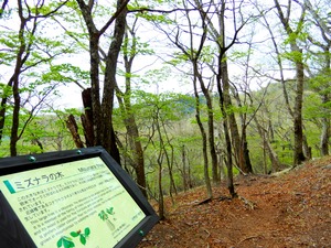 DSCN0451