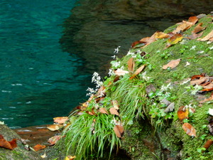 DSCN0746