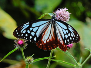 DSCN9818