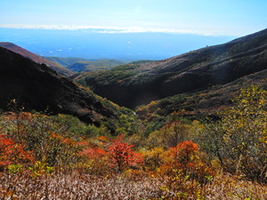 DSCN9601