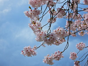 DSCN9949