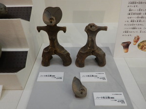 DSCN1003