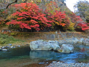 DSCN0378
