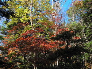 DSCN9419