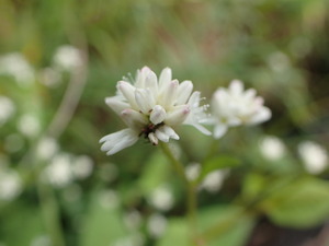 P9281236