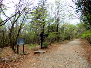 DSCN0440