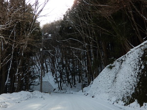 DSCN0243