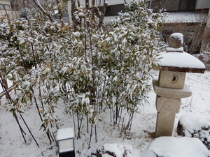 DSCN9304